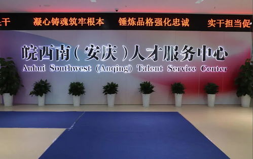 數(shù)字安慶 科技中介服務(wù)的新藍(lán)海與跨界賦能