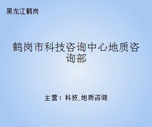 鶴崗市科技咨詢中心地質咨詢部 科技中介服務的橋梁與支撐